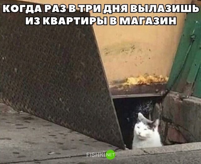 Смешные картинки из соц сетей