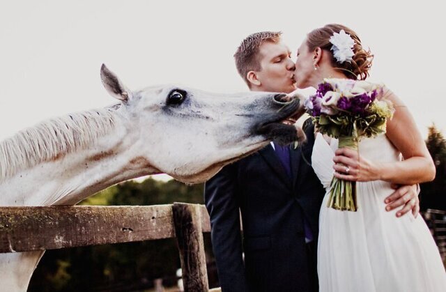 20 забавных свадебных фотографий со всего мира