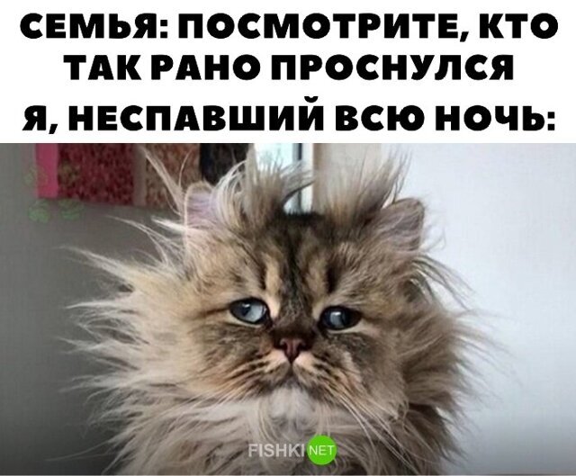 Прикольные и смешные картинки