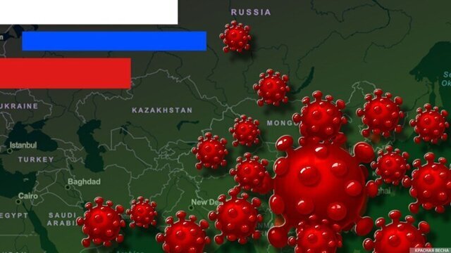 Для отчета перед Москвой все ИВЛ свезли в одну больницу — депутат Яроблдумы