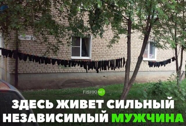 Смешные картинки