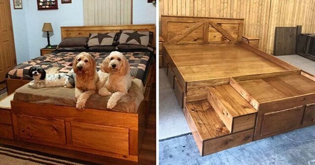Американские мебельщики создали кровать для любителей домашних животных