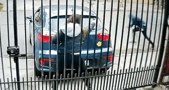 Женщина-полицейский применила оружие, чтобы отпугнуть налетчиков пытавшихся угнать автомобиль