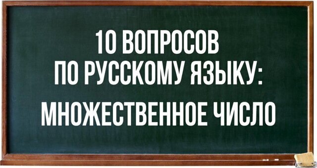 10 вопросов по русскому языку: образуйте множественное число