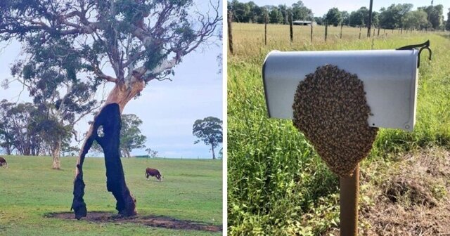 15 фотографий о необычности нашего мира