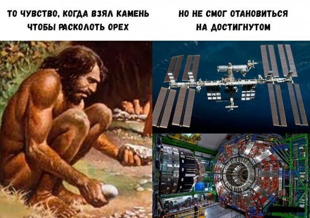 Смешные картинки