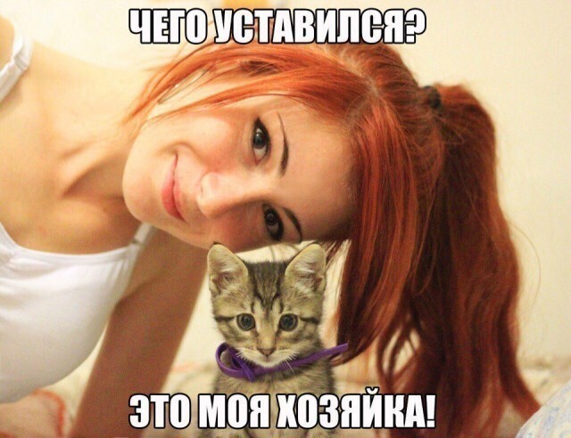 Смешные картинки