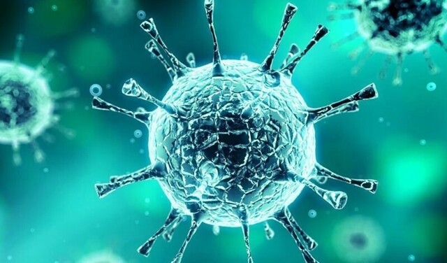 Эффективное средство от коронавируса за 8 рублей – новинка от российских учёных