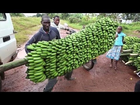 Технологии сбора урожая