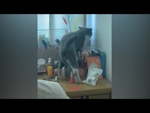 У вас в доме порядок? Тогда мы идем к вам