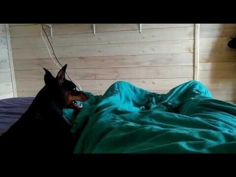 Пако vs Стёпа. Бои без правил