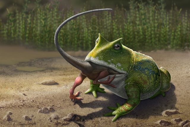Жаба дьявола: Лягушка с силой укуса медведя, пожирающая динозавров