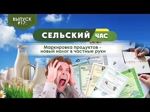 Маркировка продуктов - новый налог в частные руки. Сельский час. Игорь Абакумов