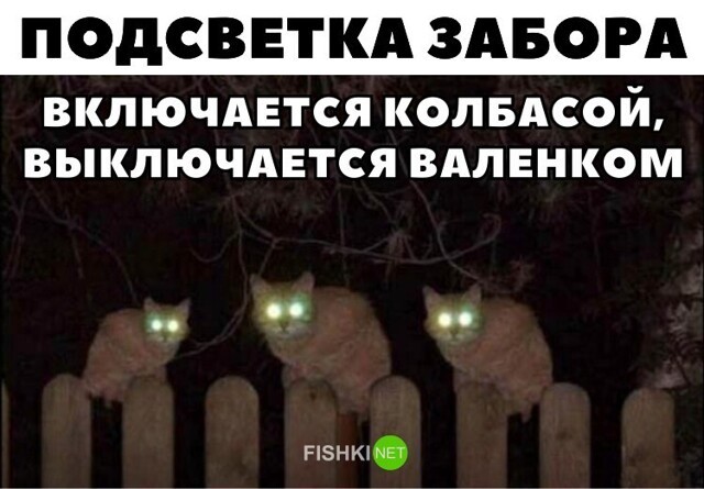 Прикольные и смешные картинки