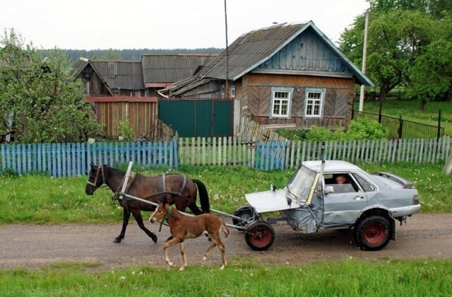 Одна лошадиная сила: белорусский пастух соорудил оригинальную повозку