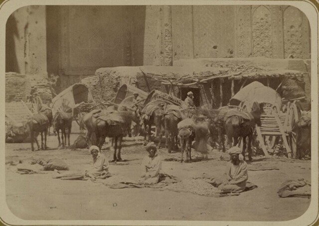 Средняя Азия. 1872. Производство хлопка