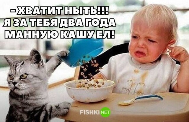 Прикольные и смешные картинки