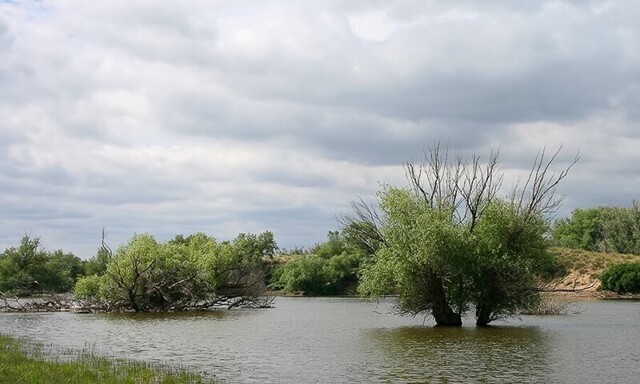 Большая вода