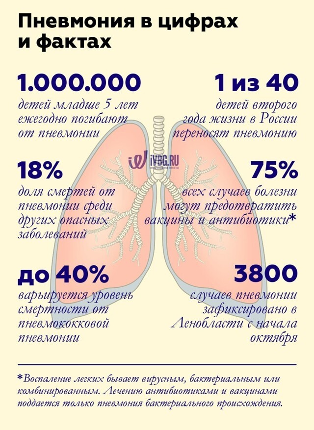 Первые признаки пневмонии у взрослых - температура и другие симптомы пневмонии