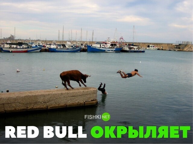 Прикольные и смешные картинки