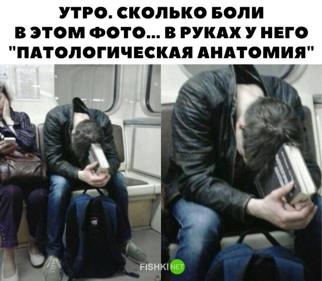 Прикольные и смешные картинки