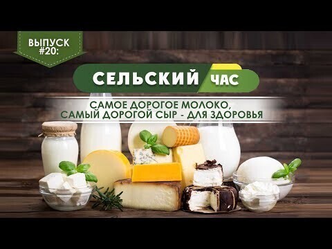 Самое дорогое молоко, самый дорогой сыр - для здоровья. Сельский час #20 (Игорь Абакумов)