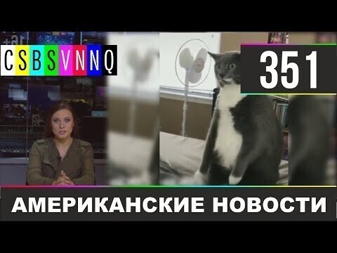 Американские новости 351