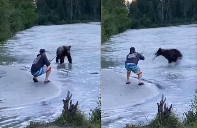 Медведь украл у рыбака часть улова