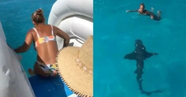 Женщина столкнулась нос к носу с акулой в день рождения