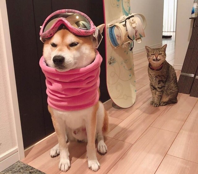 Фотоподборка