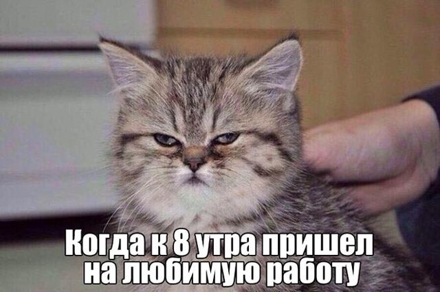 Прикольные и смешные картинки