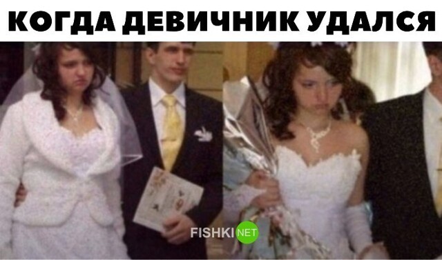 Прикольные и смешные картинки