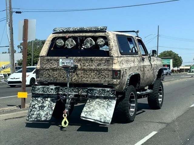 Автовсячина