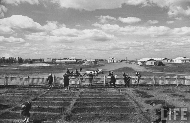 Путешествие Говарда Сочурека по Советскому Союзу 1958