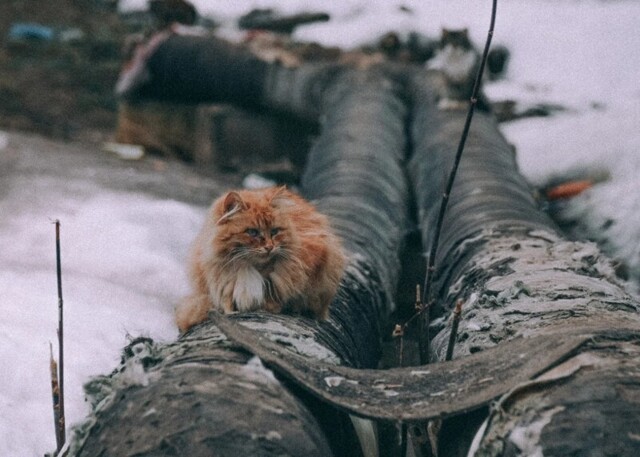 Вышний Волочек- это безнадега. Самый депрессивный город, в котором я когда-либо был. Фотоотчет