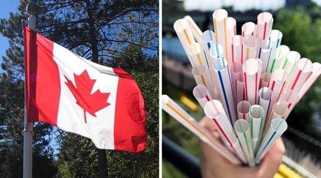 Чтобы уменьшить загрязнение окружающей среды, Канада запрещает одноразовый пластик