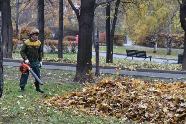 Вернись, мигрант!