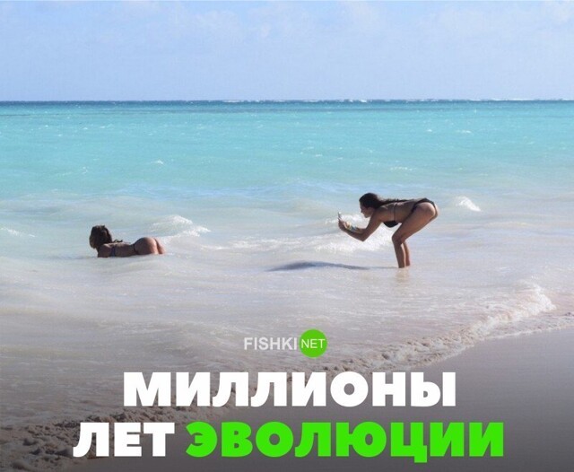 Прикольные и смешные картинки