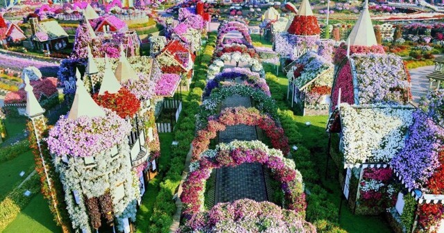 Сад чудес Дубая — крупнейший цветочный сад планеты