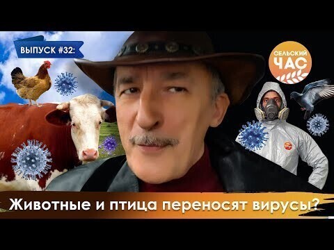 Животные и птица переносят вирусы? Сельский час #32 (Игорь Абакумов)