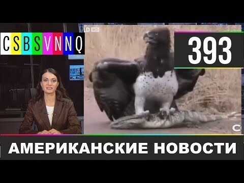 Американские новости 393