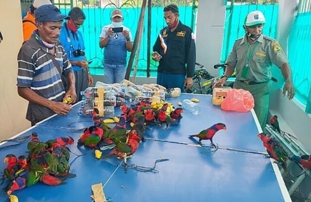 На борту корабля в Индонезии обнаружили попугаев в бутылках