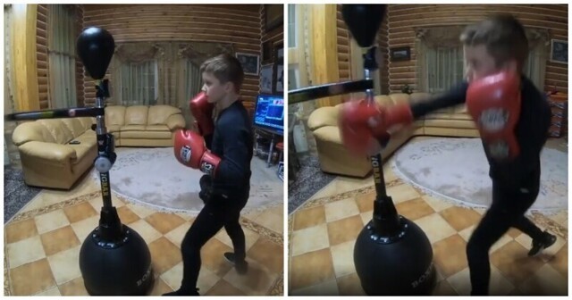 10-летний боксер с отличной скоростью и реакцией