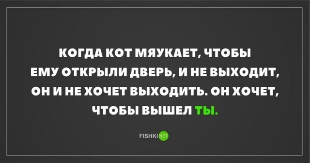 Скрины из социальных сетей