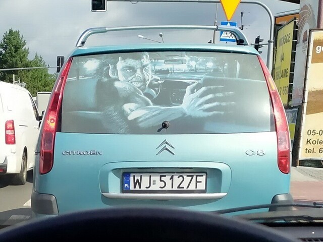 Автовсячина
