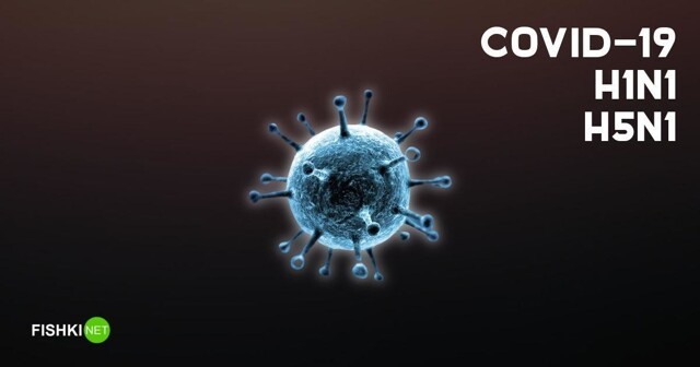 Сравниваем летальность COVID-19 и гриппа