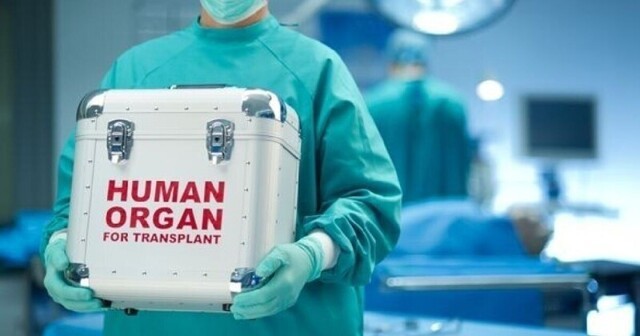 Китайские врачи попались на незаконной продаже органов
