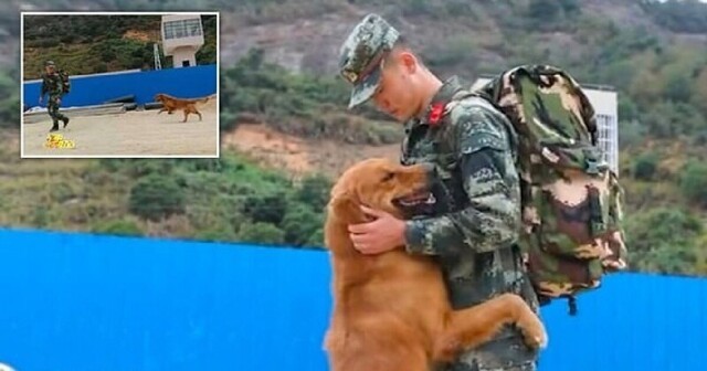 Видео: армейская собака не отпускает своего наставника, у которого закончился срок службы