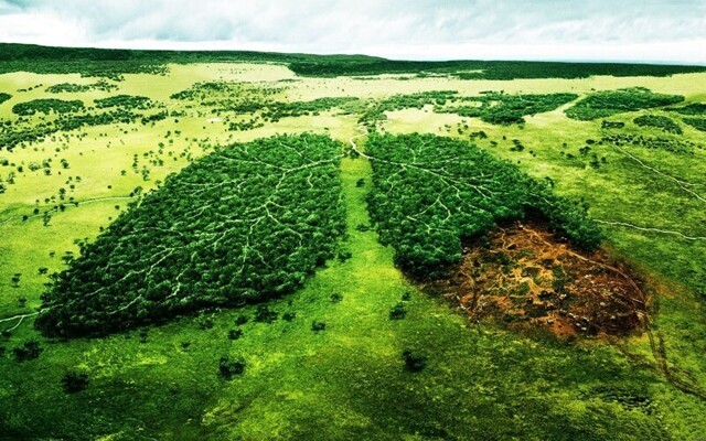Проблема экологии, но как она зависит от нас самих. Конкретная ситуация