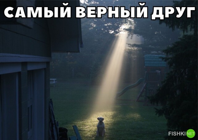 Смешные и познавательные картинки